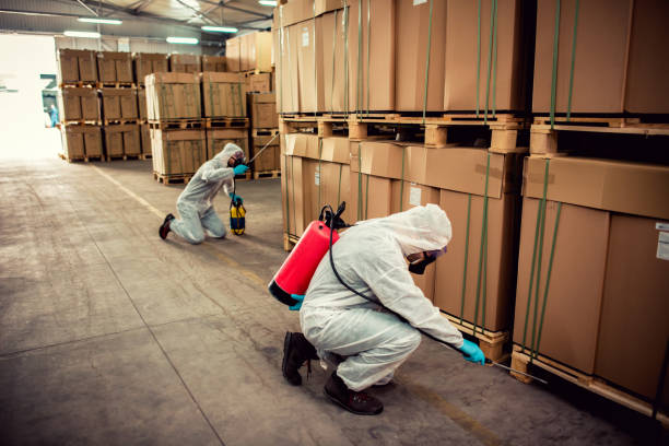 Best Residential Pest Control  in Mason, TN