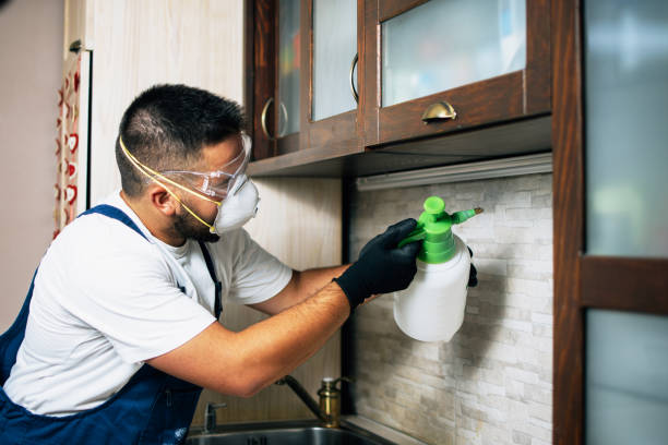 Best Commercial Pest Control Services  in Mason, TN