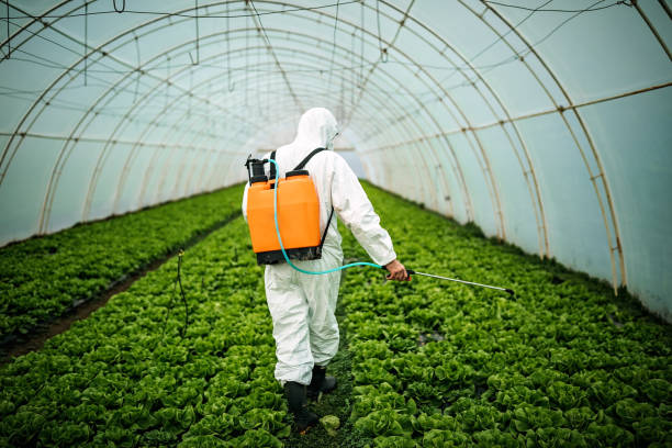 Best Affordable Pest Control Services  in Mason, TN