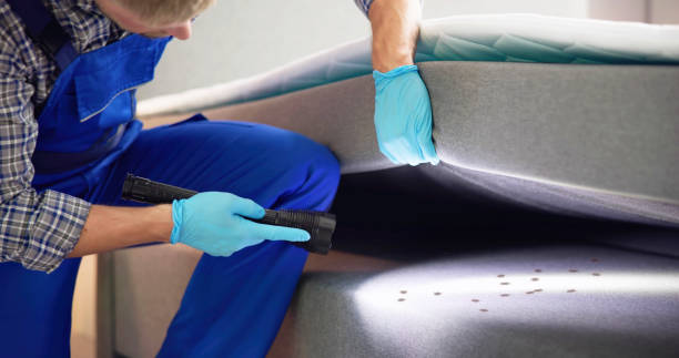 Pest Control Cost in Mason, TN