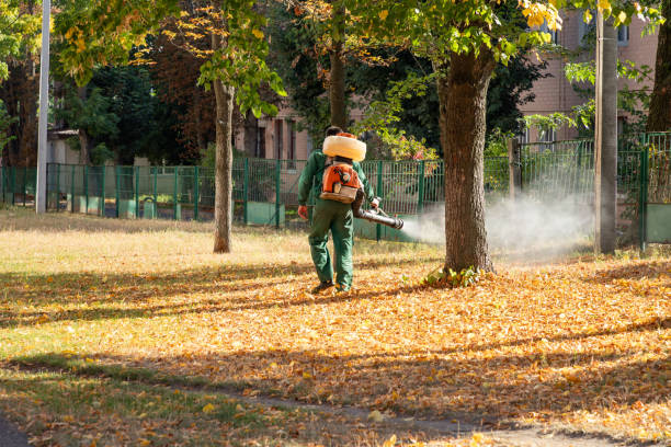 Wasp Removal Services in Mason, TN