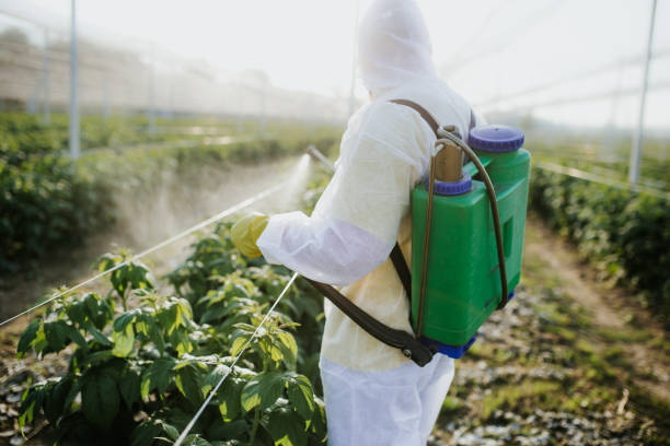 Professional Pest Control in Mason, TN